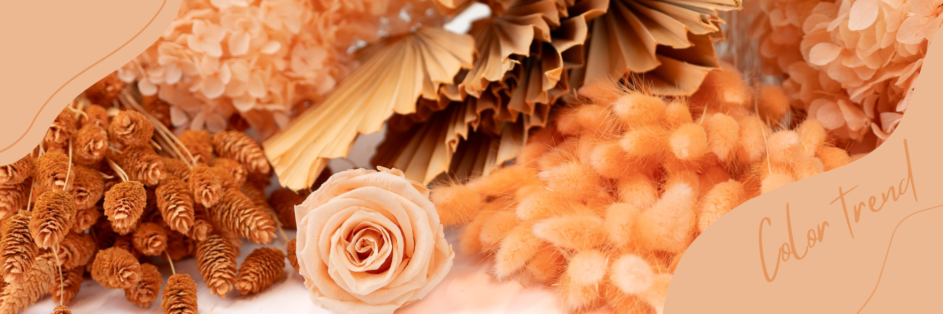 Couleur Peach Fuzz de Pantone et décoration végétale